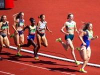 FBK26-22