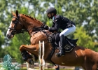 Paardensport