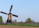 AGR-mn-4